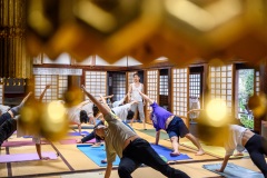 ac92daf532560ee41c0caacda84f8409